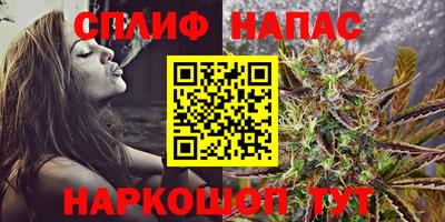 a pvp Ставрополь