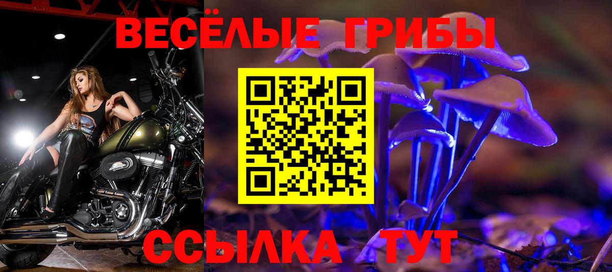 Псилоцибиновые грибы мухоморы Моздок
