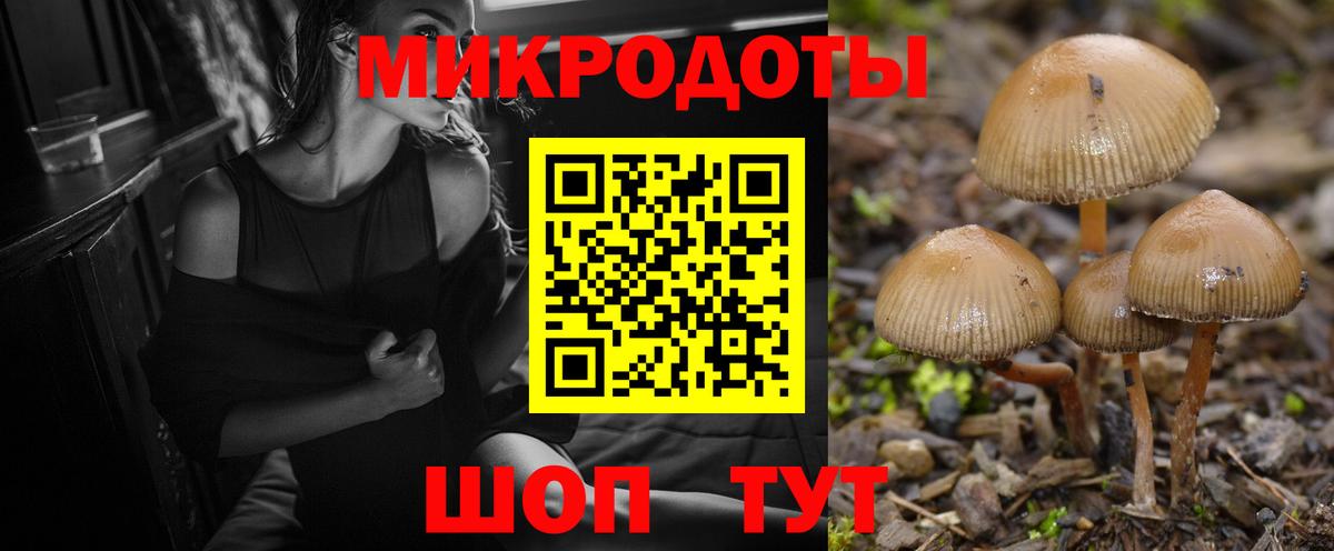 Моздок  Псилоцибиновые грибы ЛСД  сколько стоит  Вход с VPN 