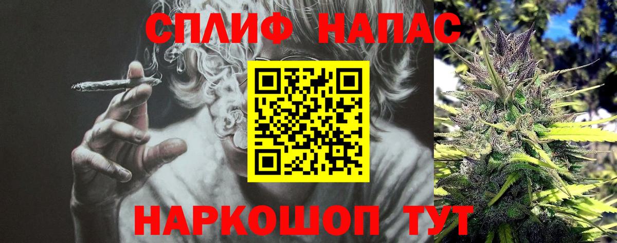 Каннабис планчик Моздок